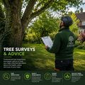 Tree Surveys & Advice